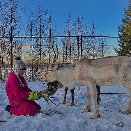 Willa Beautiful Rural Experience With Reindeer Tervola Zewnętrze zdjęcie
