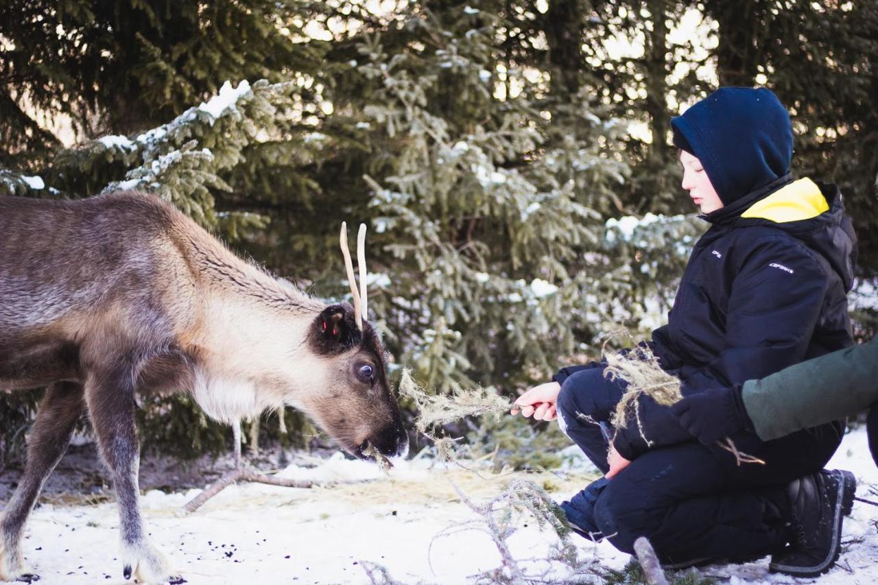 Willa Beautiful Rural Experience With Reindeer Tervola Zewnętrze zdjęcie