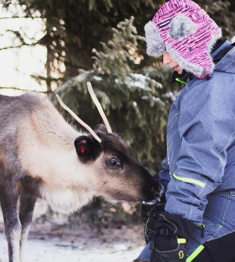 Willa Beautiful Rural Experience With Reindeer Tervola Zewnętrze zdjęcie