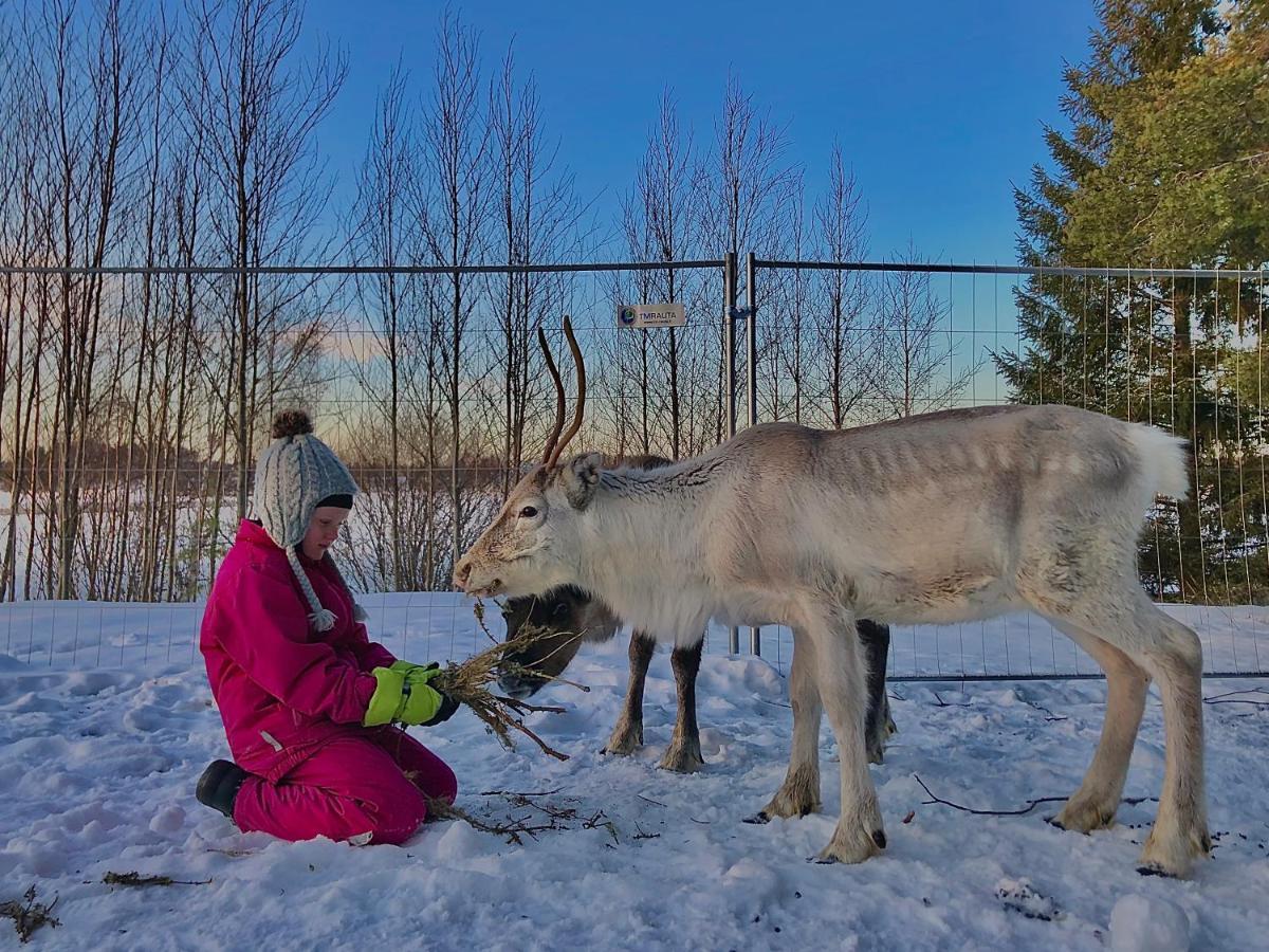 Willa Beautiful Rural Experience With Reindeer Tervola Zewnętrze zdjęcie