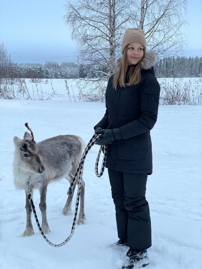 Willa Beautiful Rural Experience With Reindeer Tervola Zewnętrze zdjęcie