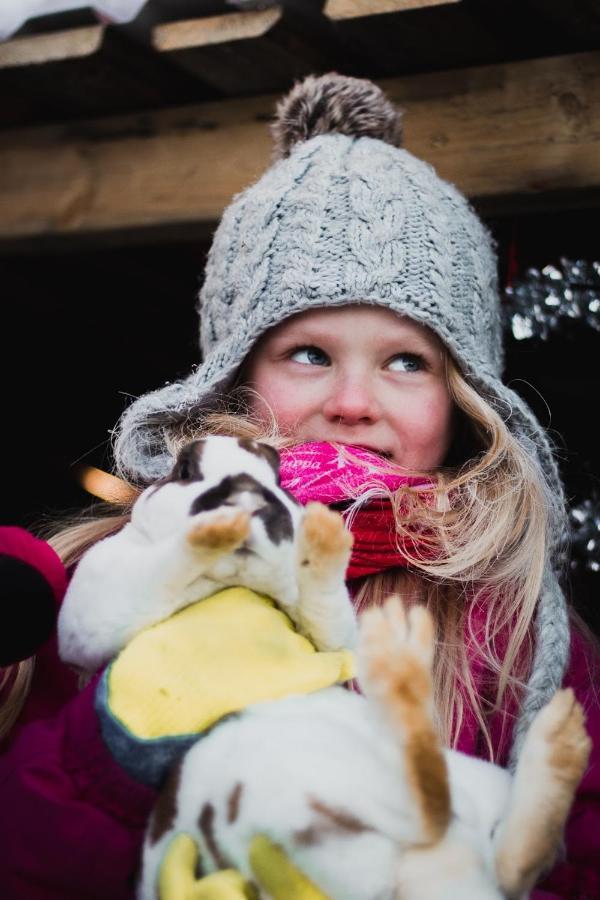 Willa Beautiful Rural Experience With Reindeer Tervola Zewnętrze zdjęcie